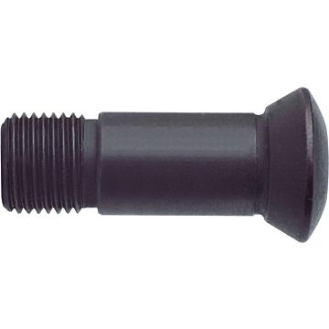 Șuruburi de strângere Torx Șuruburi de strângere Torx