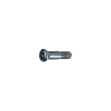 Șuruburi de strângere Torx Șuruburi de strângere Torx